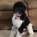 Peg Fox - @pfoxwy - Instagram