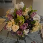 Peggy Gallagher Pocher - @peggygallagherpocher - Instagram