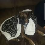 Peggy Hammer - Facebook
