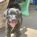 Peggy Hansen - Facebook