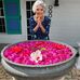 Peg Harvey - Facebook