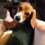 Peg Harvey Martini - @pegharveymartini - Instagram