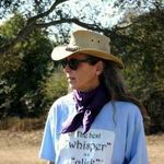 Peggy Hogan - @clickertraininghorses - Instagram