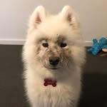 Peggy, Hunter And cats - @peggncat - Instagram