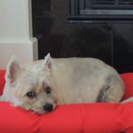 Peggy Jackson - @peggyannjackson - Instagram