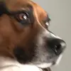 Peggy Johnston - @user3393846782505 - TikTok