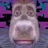 PeggyJohnston - @savanmpq64y - TikTok