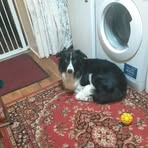 Peg Jones - Facebook