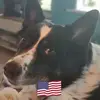 Peg Jones - @peg.jones2 - TikTok