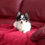 Peg Kelley - Facebook