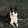 peggykelley311 - @peggykelley311 - TikTok
