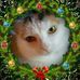 Peggy Longstreth - Facebook