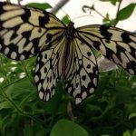 @pegmartin - Instagram