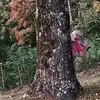 Peggy Mclaughlin - @peggy.mclaughlin8 - TikTok