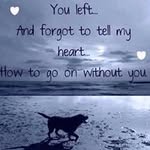 Peggy McLaughlin Best - @mac2best - Instagram
