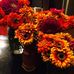 Peggy Meyer - Facebook