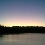 Peggy McEachran Morrison - @pegmorrison - Instagram