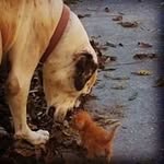 Peg Murray - @pegmurray1946 - Instagram