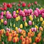 Peggy Myers - Facebook