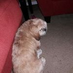 Peg Phillips - @phillips_peg - Instagram