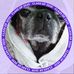 Peg Phillips - Facebook