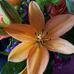 Peg Reilly - Facebook