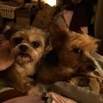 Peggy Rice - @peggyslegacy - Instagram