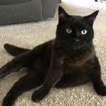 Peggy Robinson - @ravenpeg17 - Instagram