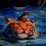 Peggy Roth - Facebook