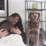 Peggy Rothe - @peggy.rothe.77 - Instagram