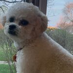 Peg Chandler Russell - @maggiemays753 - Instagram