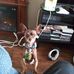 Peg Russell - Facebook