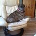Peggy Russell - Facebook