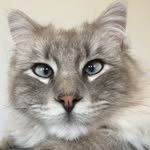 Peg Stevens - @peg.stevens - Instagram