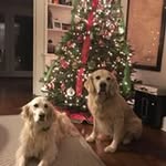 Peggie Stevens Rath - @peggiestevens - Instagram
