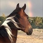 Peg E. Turner - @peg.turner.prescott - Instagram
