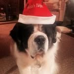 Peggy Wheeler - @peggywheeler317 - Instagram