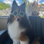 Peg White - @zencowgirl19 - Instagram
