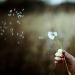 Pegah Esmaili - Facebook