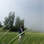 pegah hashemi - @pegahhashemii1 - Instagram