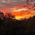 Peggy Abbott - @abbotts8 - Instagram