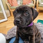 Peggy C Abbott - @peggycabbott - Instagram