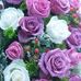 Peggy Allison - Facebook