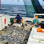 Peggy ann shrimp - @peggyannshrimp - Instagram