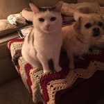 Peggy Hanson - @peggyhanson5633 - Instagram