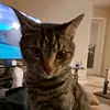 peggyward - @peggy.ward - TikTok