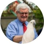 Newt Gingrich - @peggyashleywilson8 - Instagram