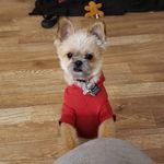 peggy  ashford - @peggy_ashford - Instagram