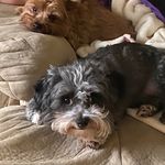 Peggy Sue Ashby - @peggysueashby2010 - Instagram
