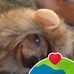Peggy Ashcom - Facebook